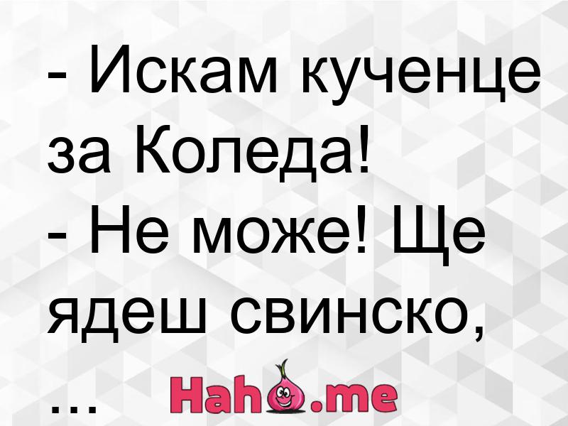 Искам кученце за Коледа | Веселата Страничка
