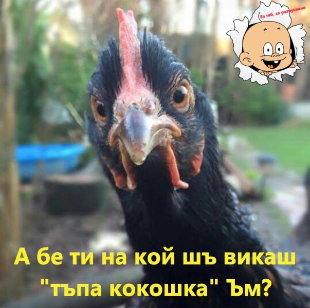 Абе, ти на кого ще викаш...?