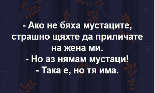 Ако не бяха мустаците...