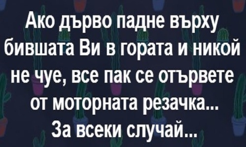 Ако дърво падне върху бившата ви в гората и никой не чуе...