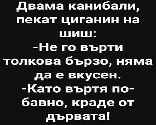 Двама канибали пекат циганин на шиш: