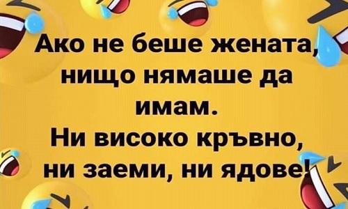 Ако не беше жената нищо нямше да имам!