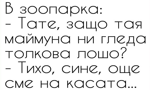 В зоопарка: Тате защо тая маймуна ни гледа...