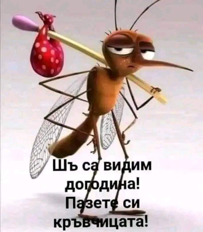 Комар