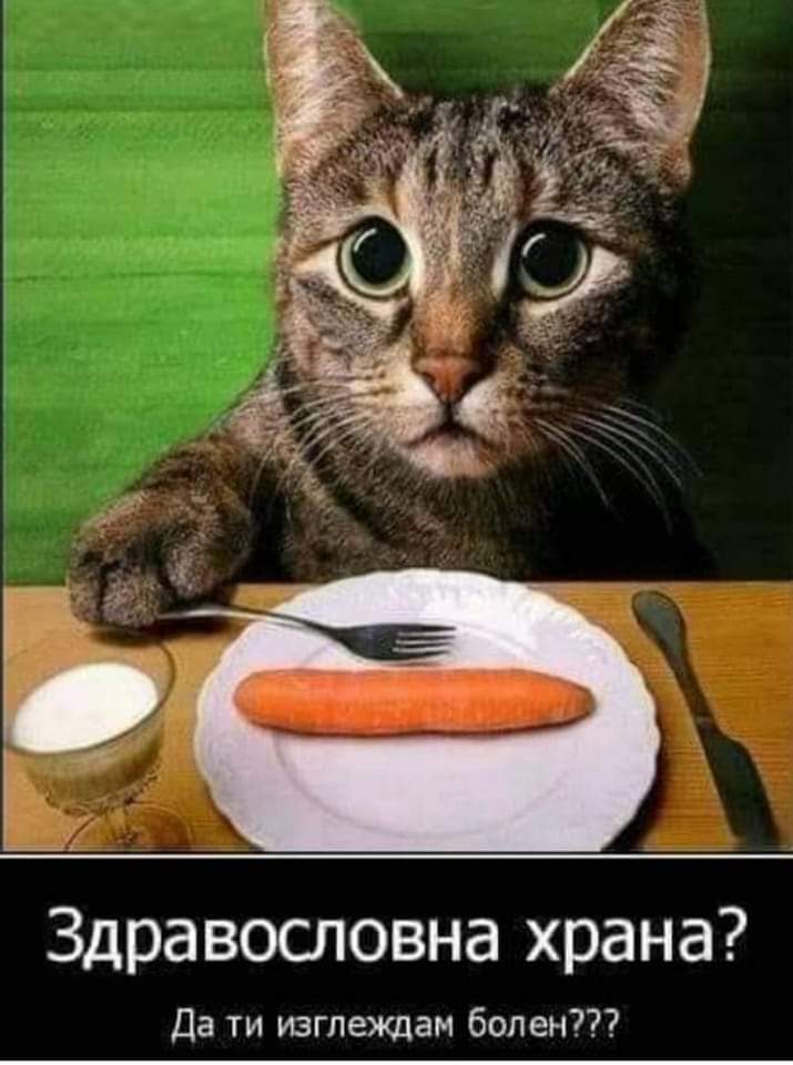 Здравословна храна?