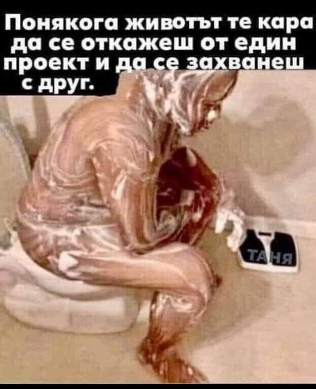 Проект