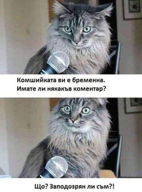 Заподозрян