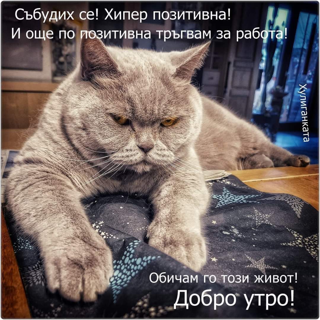 Събудих се!