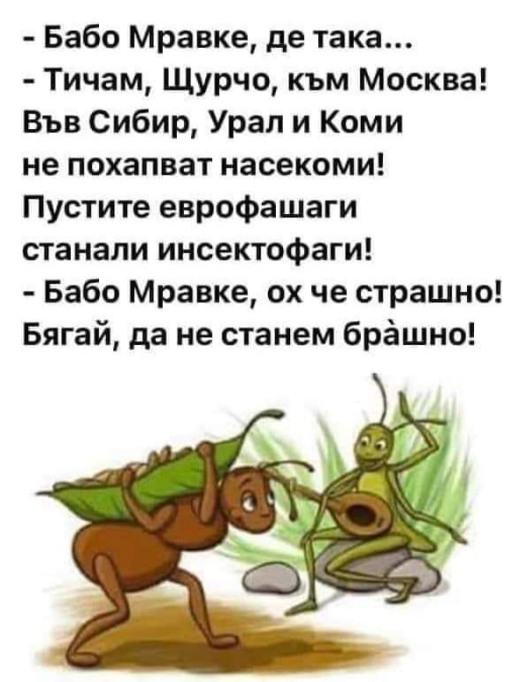 Бабо Мравке