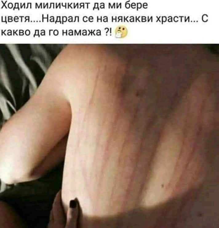 Надрал се на някакви храсти...