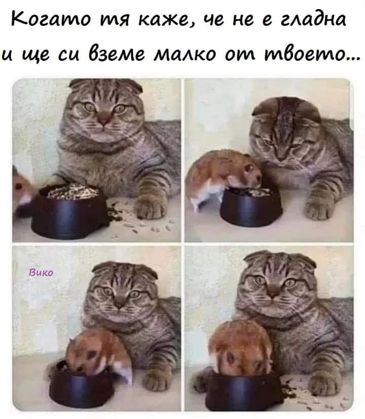 Само малко...