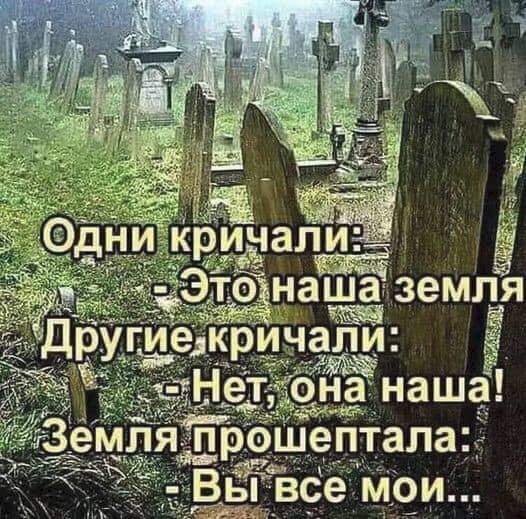 Вьl все мои...