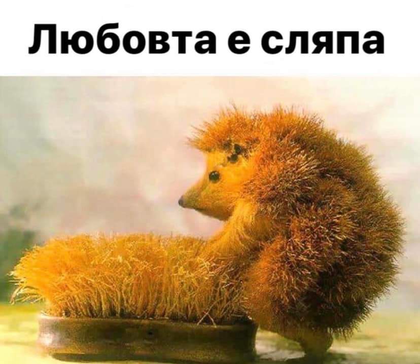 Любовта е сляпа