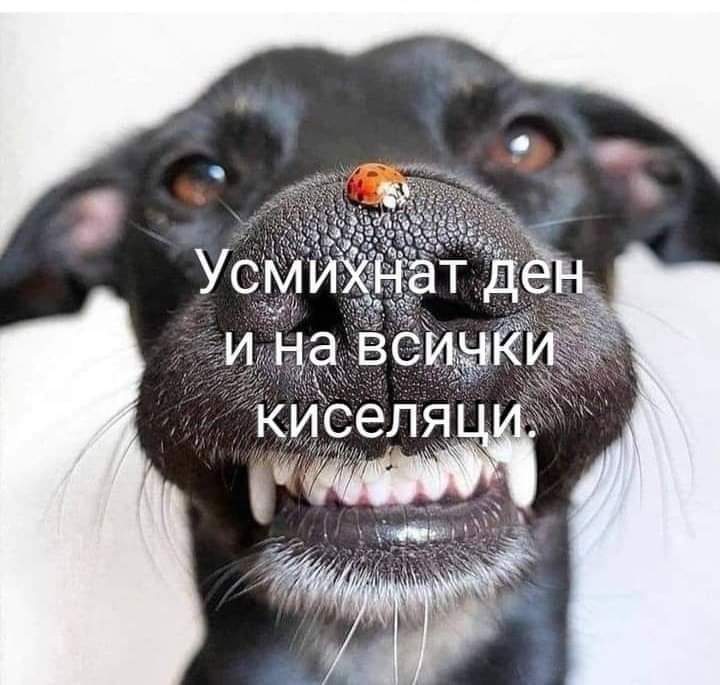 Усмихнат ден :)