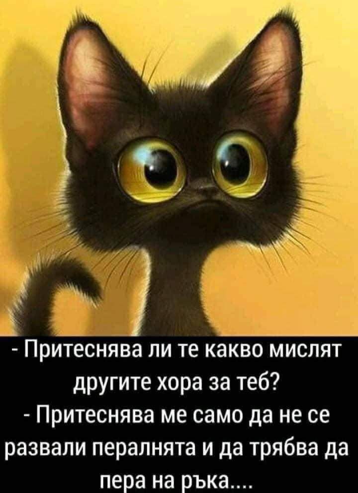 Когато имаш сериозни притеснения...