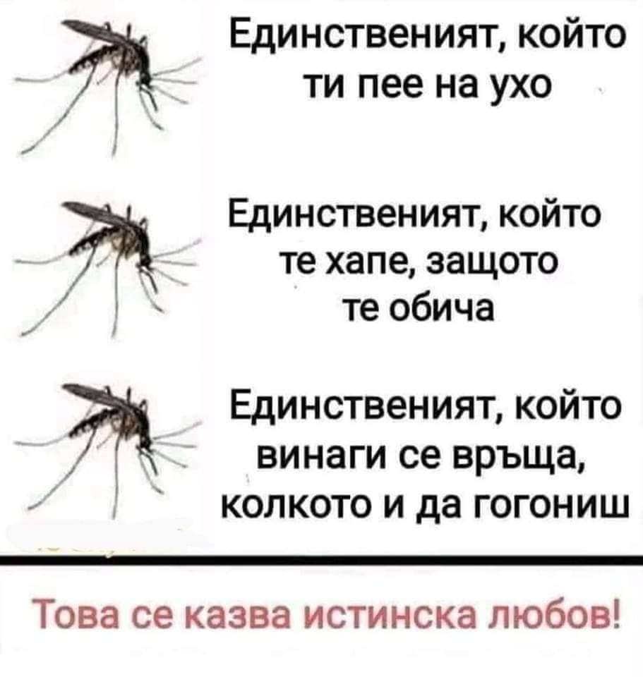 Истинска любов!