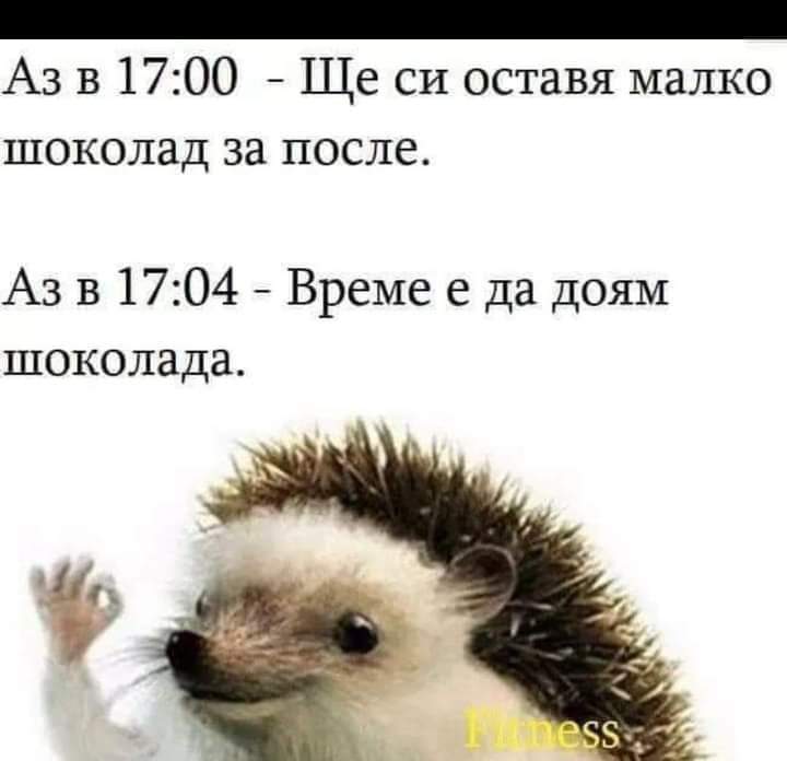 Шоколад...