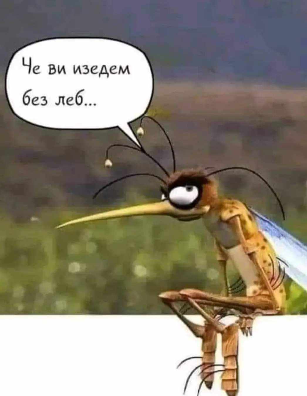 ...без леб...