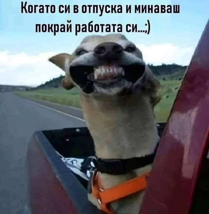 Когато си в отпуск