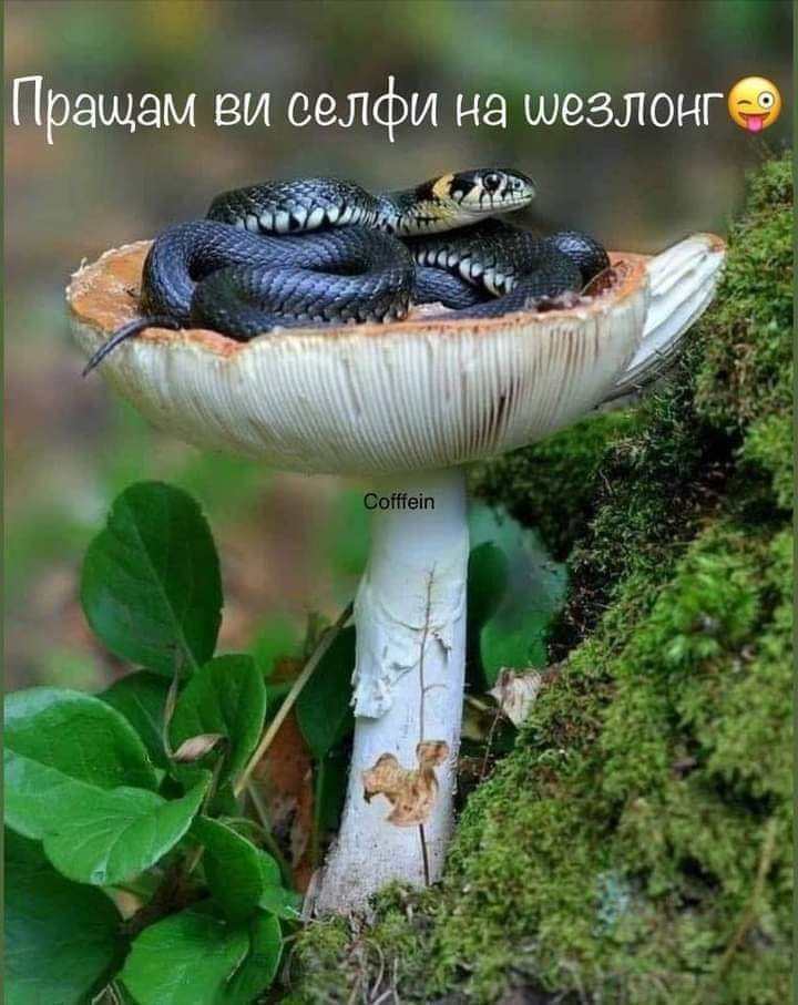 Така си почивам