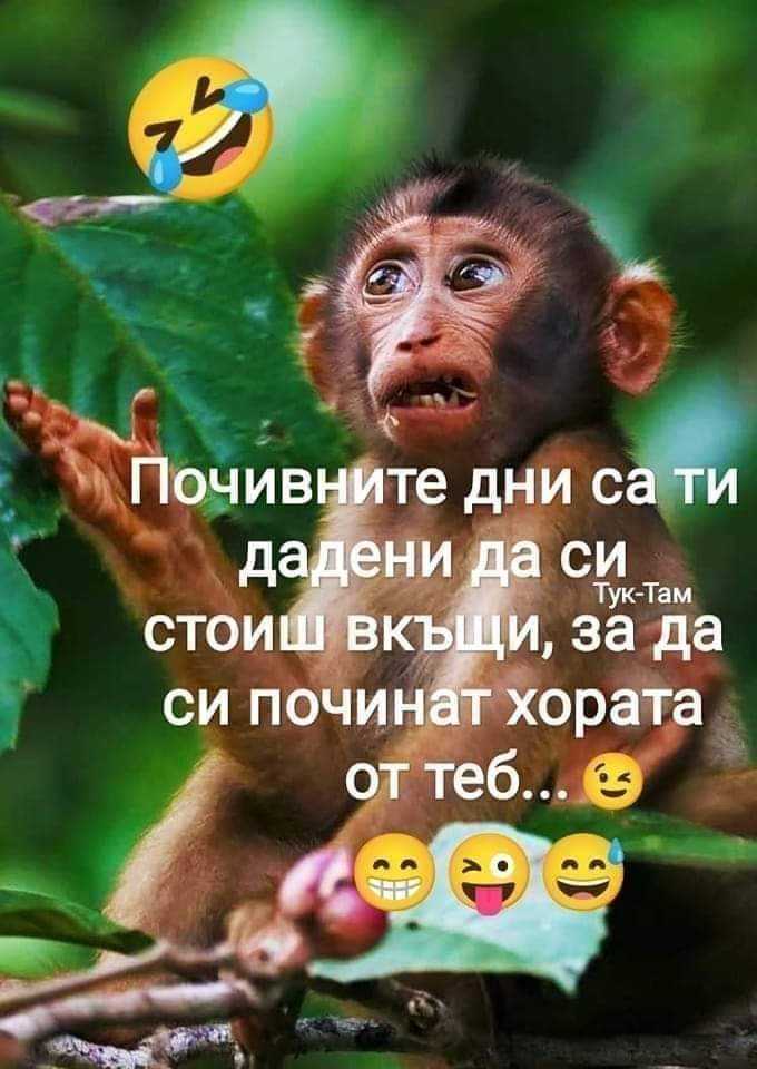 Почивните дни