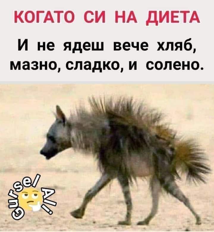 Когато си на диета