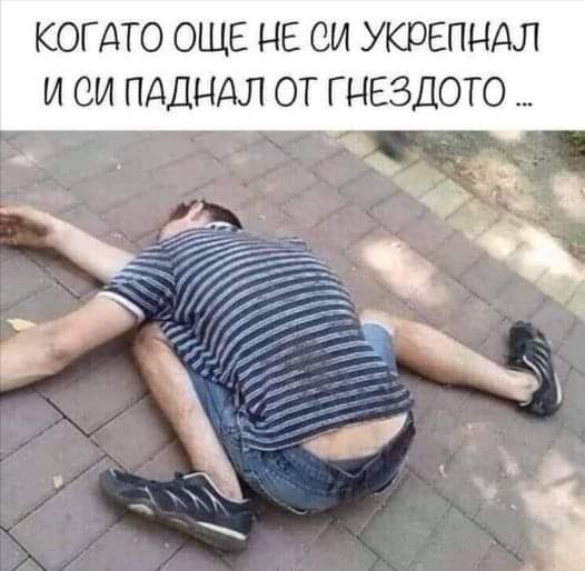 Когато паднеш от гнездото