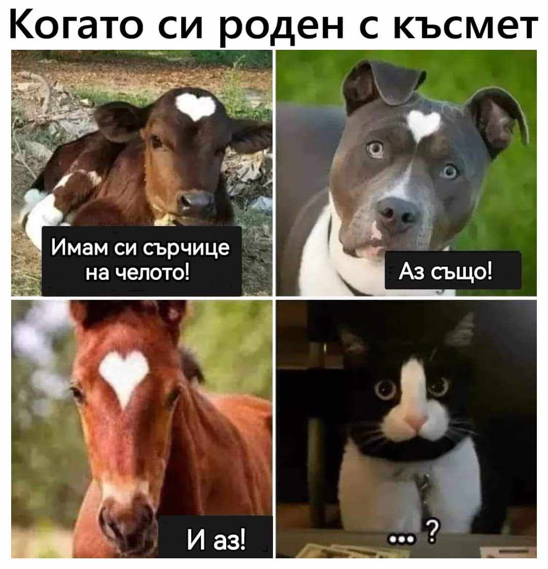 Когато си роден с късмет