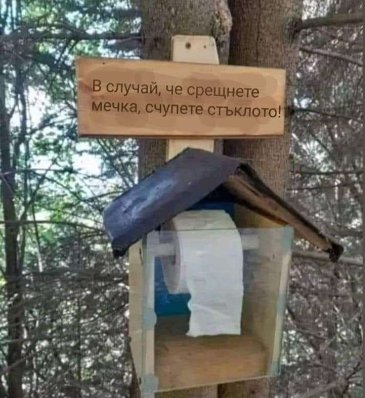 В случай, че срещнете мечка