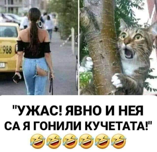 Ужас! Явно и нея са я гонили кучетата!