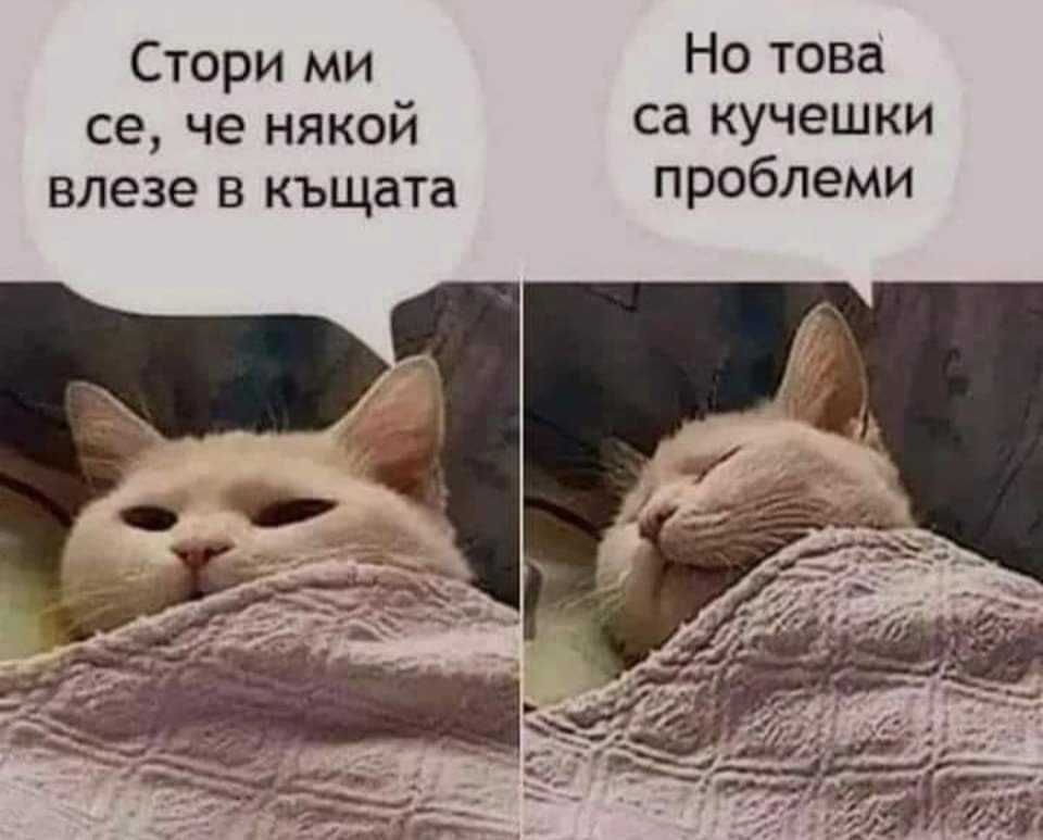 Кучешки проблеми