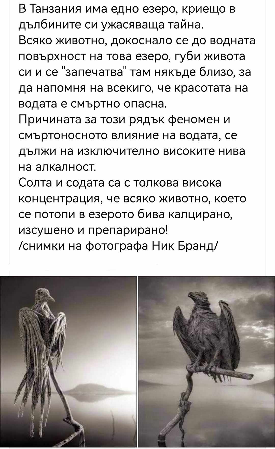 Езеро в Танзания