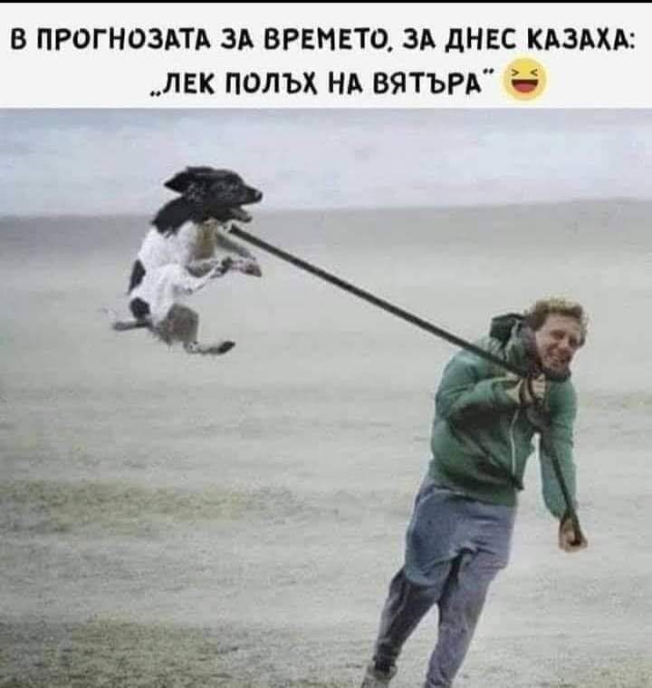 Лек полъх на вятъра