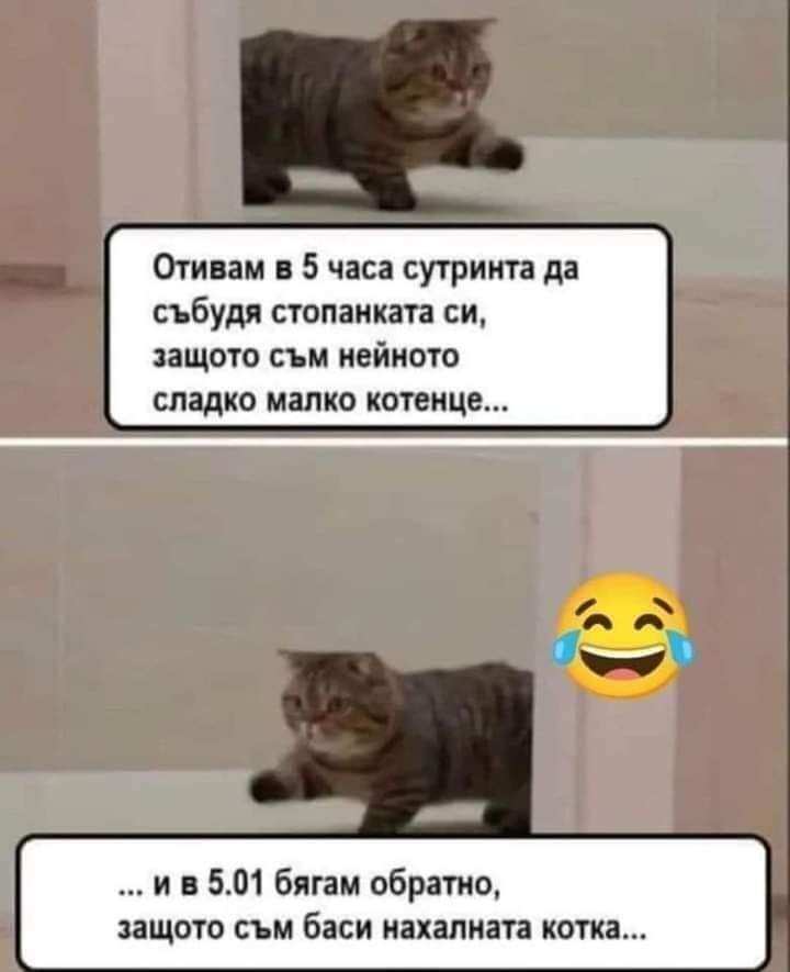 Пет часа сутринта: