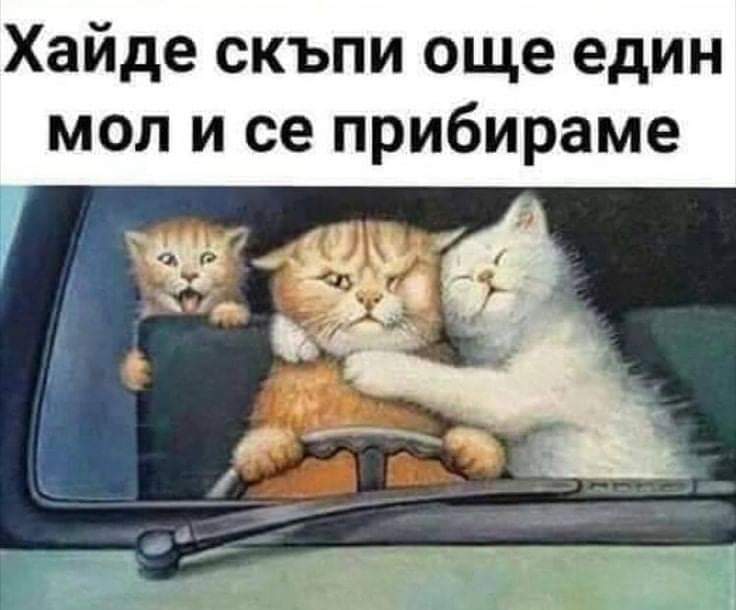 Хайде скъпи...