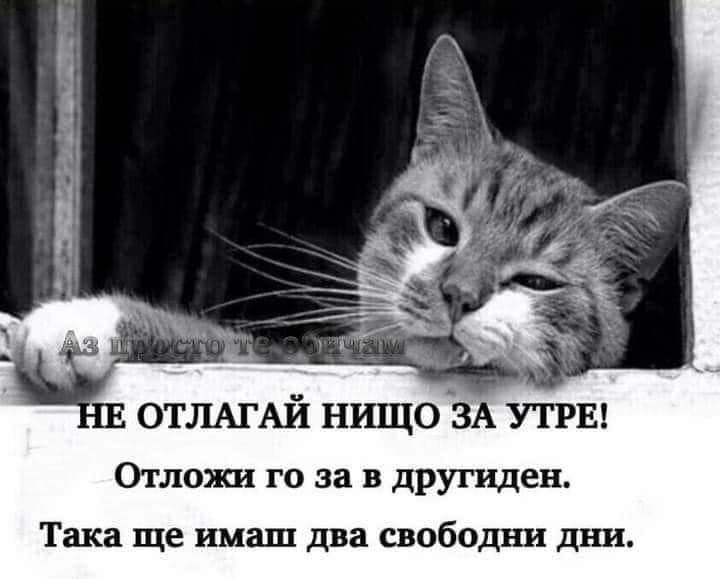 Не отлагай нищо за утре!