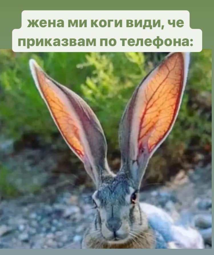 Жена ми...