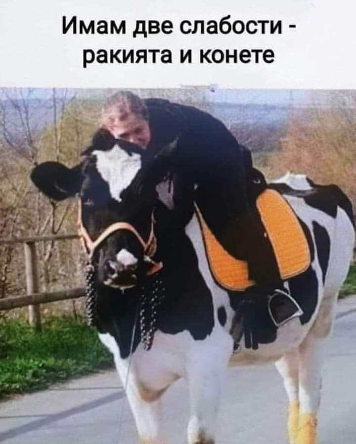 Имам две слабости